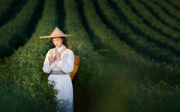 关于中秋节有关的诗句(中秋佳节的诗句古诗？)