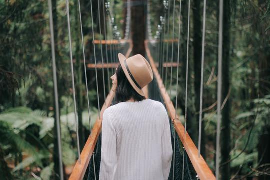 搭船的鸟教学设计(《搭船的鸟》)